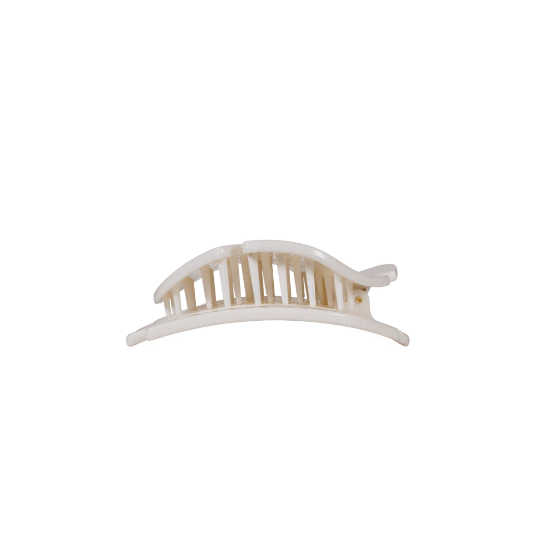 Small Sand Dollar Hair Clip