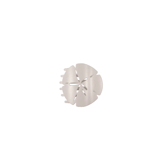 Tiny Sand Dollar Hair Clip