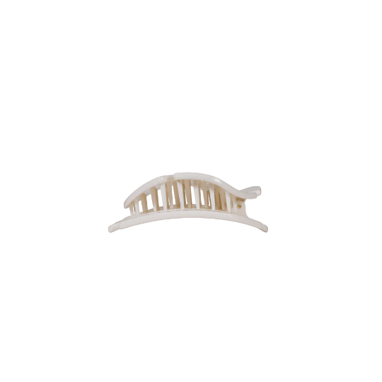 Tiny Sand Dollar Hair Clip